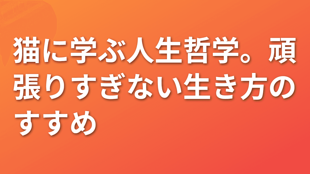 猫に学ぶ人生哲学。頑張りすぎない生き方のすすめ