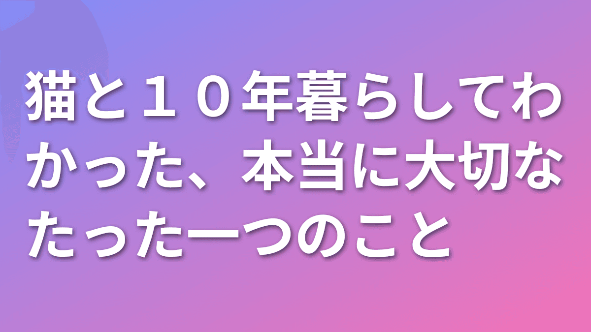 猫と10年暮らしてわかった、本当に大切なたった一つのこと