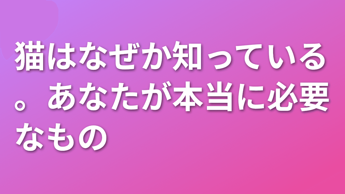 猫はなぜか知っている。あなたが本当に必要なもの