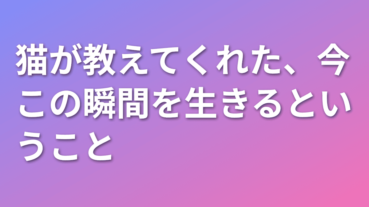 猫が教えてくれた、今この瞬間を生きるということ