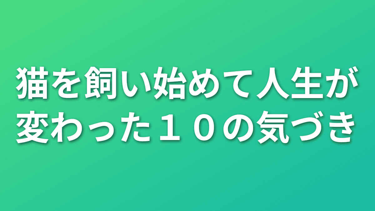 猫を飼い始めて人生が変わった10の気づき